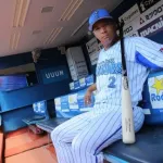 横浜ベイスターズの守備がうまい選手教えて下さい。