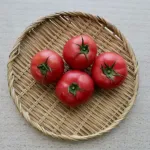トマト嫌いな奴