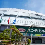 明日ナゴヤドームに初めて野球見に行くんやが気をつけることある？
