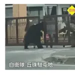 【画像】自衛隊、ヒグマに門をこじ開けられ基地侵入されるｗｗｗｗｗｗｗｗ