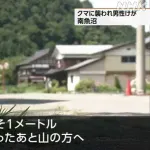 【熊被害】新潟のクマサン🐻、60代男性を襲う
