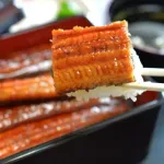 【悲報】うなぎに1番マッチする薬味って山椒じゃないよなｗｗｗｗｗｗｗｗｗｗｗｗｗｗｗｗ