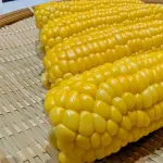 ◯◯食べ放題！これの全く新しい人気出そうなやつ教えろ