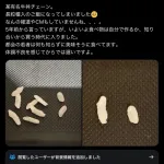 【悲報】牛丼チェーン店さんのご飯、ブレンド米になってしまう