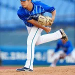 DeNA宮城　36登板防御率1.14　3勝1敗11ホールド13HP　←新人王ある？