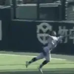 【動画】甲子園の審判さん、これをファール判定してしまう…