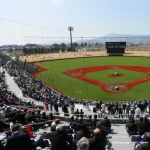 ローカル球場、各地で老朽化　費用負担重く、移転を断念の例も