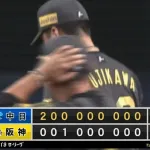 負けてもマジックは「1」減って20 阪神が1―2で中日に競り負け 伊原が6敗目