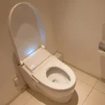 【悲報】金田一「トイレを出たあとに便座が上がったままだった、つまりあんたは本当は男だ！」