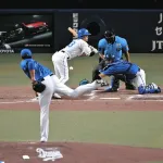 藤浪対策