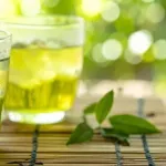 緑茶さん、チートすぎる