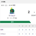【試合結果】ヤクルト2-2阪神　山田9号　山野6回2失点
