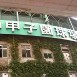 甲子園決勝前に迷う視聴者続出「究極の選択」 真裏では“国民的対決”「時間かぶせんといて」