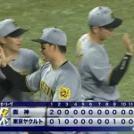 【ヤクルト対阪神21回戦】ヤクルト対阪神は２－２で延長１２回引き分け