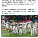 【謎】Netflix「月額1000円でWBCの全試合が見放題です」謎「だったら見ないかな」←こいつの正体