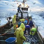 【画像】日本で魚が取れなくなってきたらどうするの？ｗｗｗｗｗｗｗｗｗｗｗｗｗｗｗｗ
