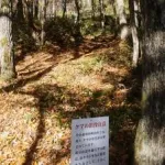 【悲報】「熊スプレー」買ったけど威力ヤバくて草ｗｗｗｗｗｗｗｗｗｗｗｗｗｗｗｗ