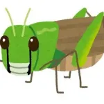 トノサマバッタってどこに存在するの