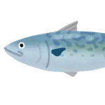 結局さあ　サバが一番うまい魚なのではないか？