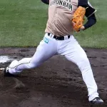 斎藤佑樹さんって実際ポテンシャルはあったの？