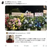 【恋】粗品があのちゃんに贈った花ｗｗｗｗｗｗｗｗｗｗｗｗｗｗｗｗ