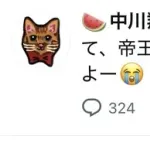 中川翔子さん(40)帝王切開へ・・・・・・