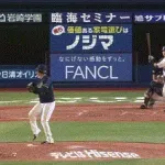 【DeNA対ヤクルト19回戦】ヤクルト・岩田、落球…