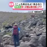 山にいるクマ、またもや登山者たちの前に姿を現し、その場にいた人たちを恐怖させてしまう