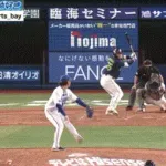 村上、バックスクリーンへ確信３ランｗｗｗｗｗｗｗｗｗｗｗｗｗ