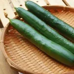 きゅうりの美味い食い方