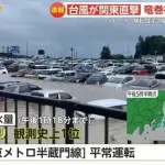 【画像】静岡空港に停められてた車、全滅