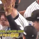 セ・リーグ、阪神タイガースが２年ぶり７度目の優勝…DeNAファンの反応