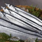 【画像】今年のサンマ、流石にデカすぎるｗｗｗｗｗｗ