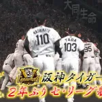 阪神優勝おめでとう！ロッテの胴上げはいつになったら見れるんやろな…