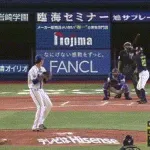 【DeNA対ヤクルト21回戦】ヤクルト・中村悠平、DeNA・藤浪の2球連続頭部付近への投球にキレる