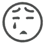 【悲報】次期総理、小泉or高市