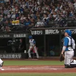 近藤健介の折れたバットが日ハム・八木裕コーチの頭に直撃　流血してベンチ裏へ