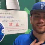 DeNAケイ、球団外国人左腕最多の8勝目　打っては村上から2点打「目をつぶって振ったら当たってくれた」
