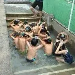 【疑問】学校のプールにあった腰まで冷水に浸かる謎コーナーｗｗｗｗｗｗｗｗｗｗｗｗｗｗｗｗ
