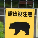 【悲報】許可のないハンターさん、ヒグマを駆除してしまい法律違反へ