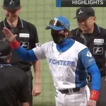 【朗報】日本ハムファイターズvsソフトバンクホークスのパリーグ頂上決戦、ガチで熱すぎるｗｗｗｗｗｗｗ