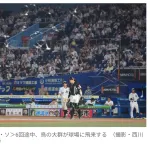 ZOZOマリン騒然！　鳥の大群襲来で試合一時中断のハプニング　ネットに当たり落ちる鳥も…選手もビックリ