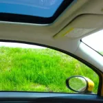 車のサンルーフっている?