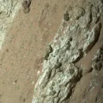 【朗報】NASA、生命の痕跡を火星で発見したと発表w w w w w w w w w w w w w w w w w w w w