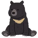 【悲報】クマさん、住宅の2階に出没🐻