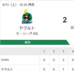 【試合結果】ヤクルト2-6ベイスターズ　山野6回途中6失点　濱田村上タイムリー