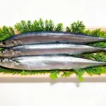 【悲報】漁師「サンマが過去にない大漁なのぉ！すごい！みんな食べてくれ！」→1匹399円ｗｗｗｗｗｗｗｗｗｗｗｗｗｗｗｗ