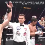 井上尚弥（31戦31勝27KO）