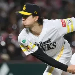 SB上沢 2.66(9位) 11勝(3位タイ) 128.2回(12位) 被打率.213(5位) WHIP1.05(5位) QS率75%(6位)