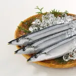【朗報】サンマ、150円ｗｗｗｗｗｗ